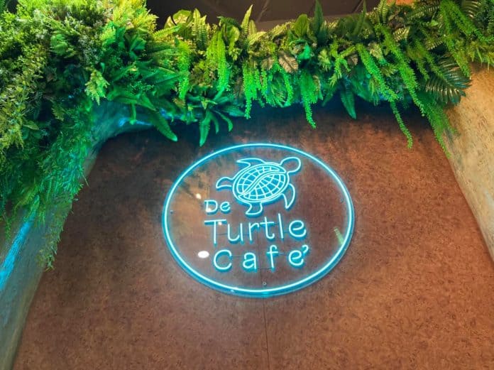 De Turtle cafe’ - คาเฟ่สุรินทร์