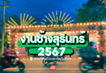 งานช้างสุรินทร์ 2567